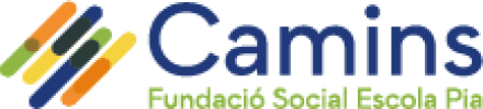 Logo_CAMINS_petit