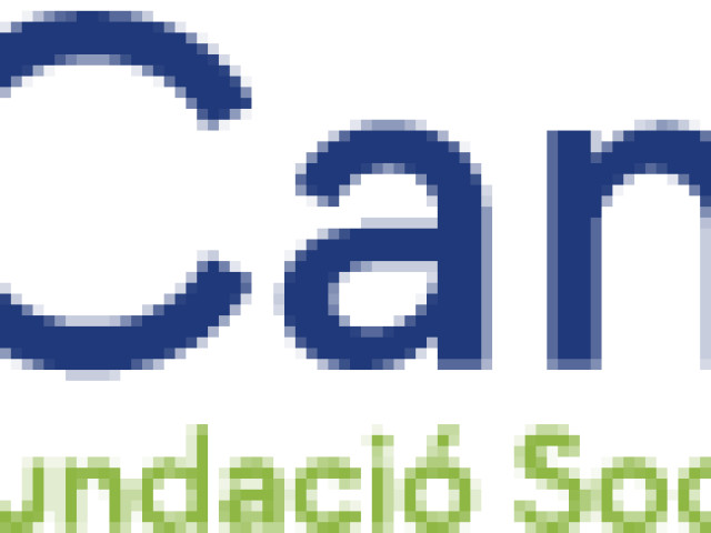 Logo_CAMINS_petit